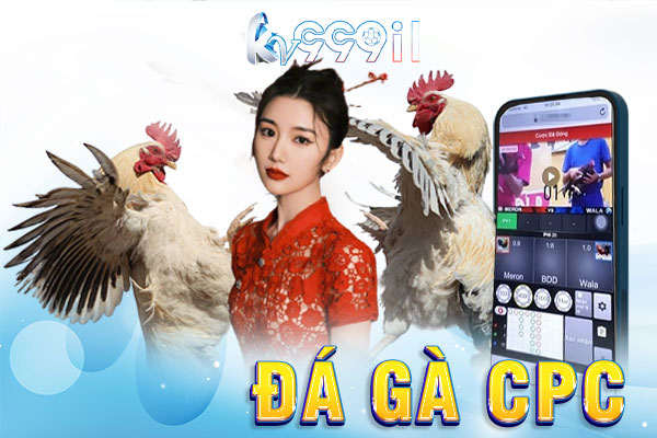 đá gà cpc