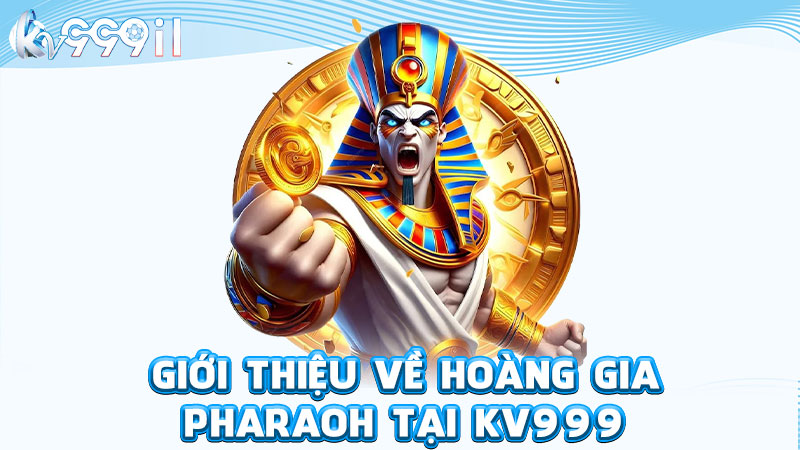 giới thiệu về hoàng gia pharaoh tại kv999