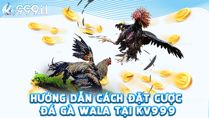 hướng dẫn cách đặt cược đá gà wala tại kv999