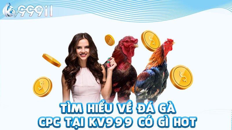 tìm hiểu về đá gà cpc tại kv999 có gì hot