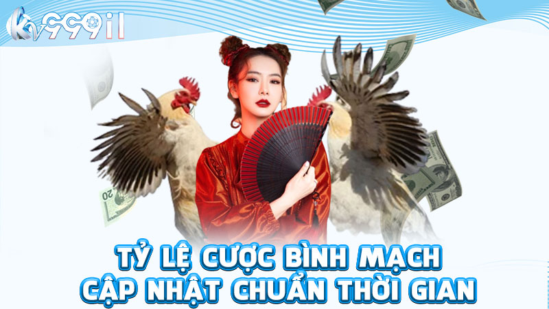 tỷ lệ cược bình mạch cập nhật chuẩn thời gian